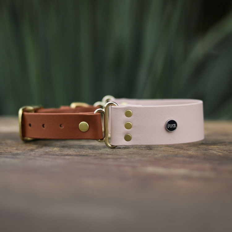 Szeroka obroża z BioThane® dla cane corso – bezpieczeństwo i styl dla potężnych psów