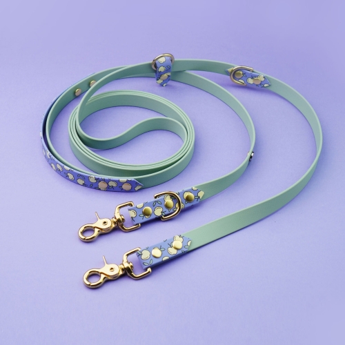 Szałwiowa smycz z Biothane z nadrukiem jabłek – trwała, wodoodporna i gotowa na każde wyjście.