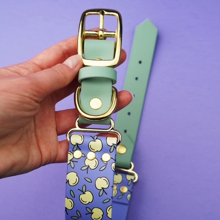 Obroża na sprzączkę z Biothane – print w jabłuszka i zielone zapięcie
