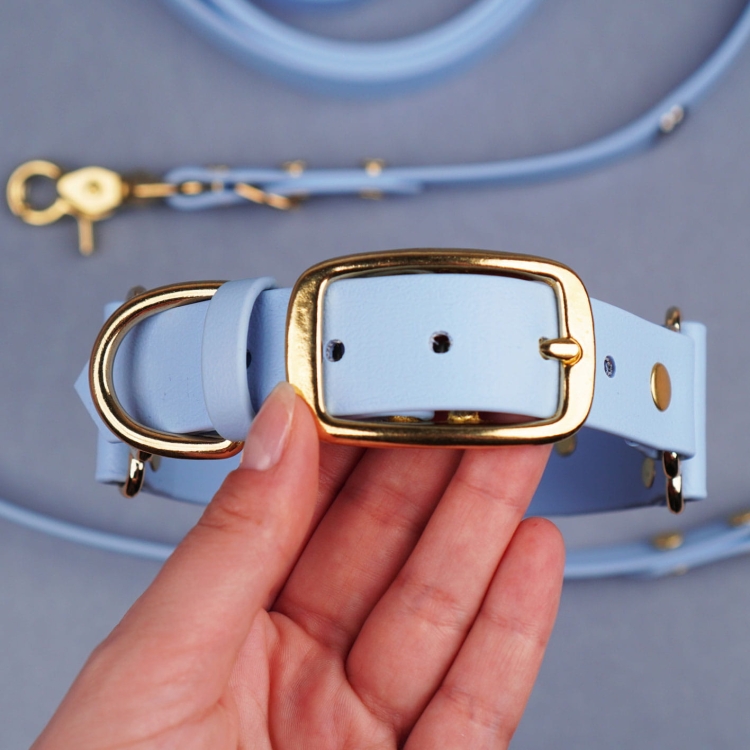 Szeroka obroża Biothane Pup in the Sky w odcieniu blue sky, ze złotą klamrą, prezentowana w dłoni – Bura