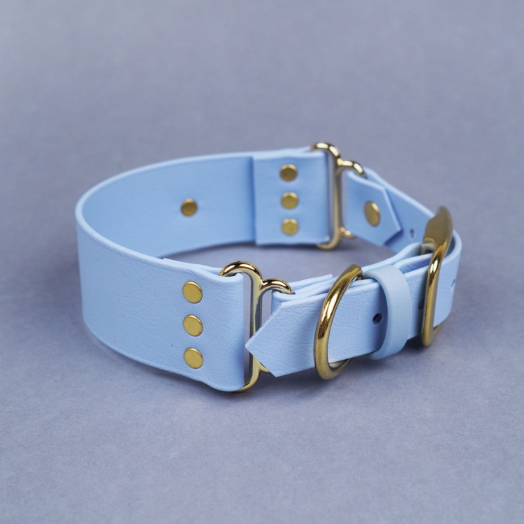 Niebieska szeroka obroża z Biothane dla psa, wytrzymała i wodoodporna, z eleganckimi złotymi okuciami – Bura