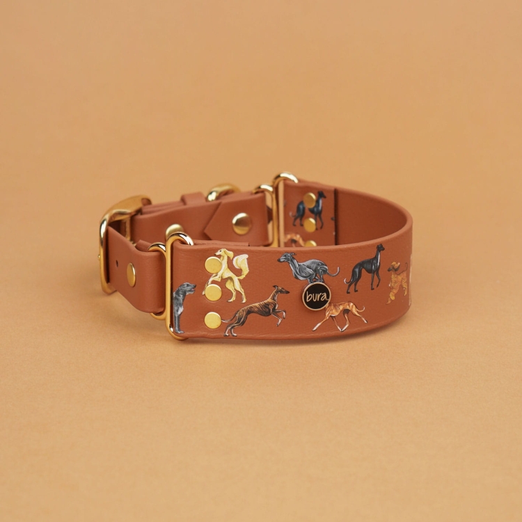 Szeroka obroża dla psa Bura brązowa jak skóra – packshot na tle, nadruk chartów oraz okucia w kolorze złota.