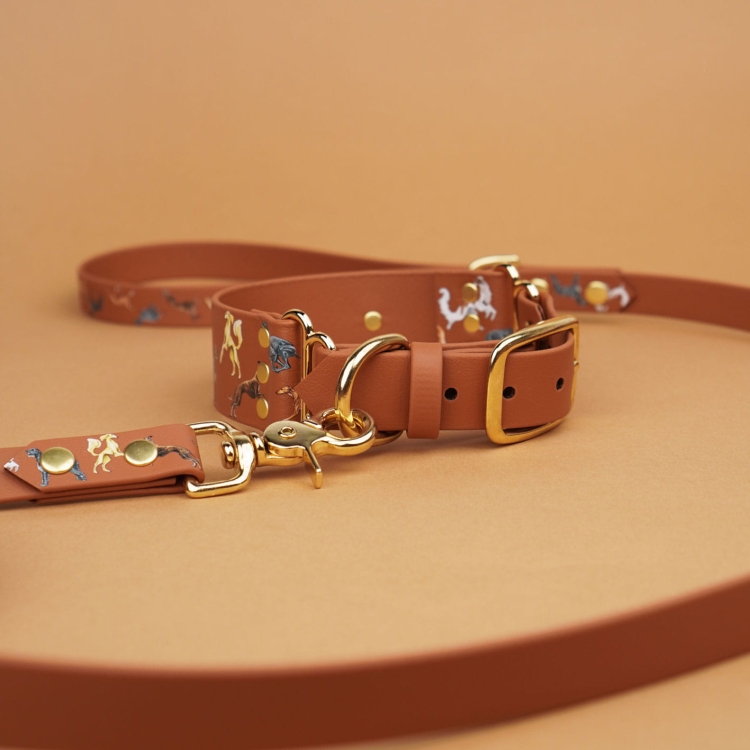 Szeroka obroża dla psa Bura brązowa jak skóra w zestawie ze smyczą; dopasowany wzór chartów i złote okucia.