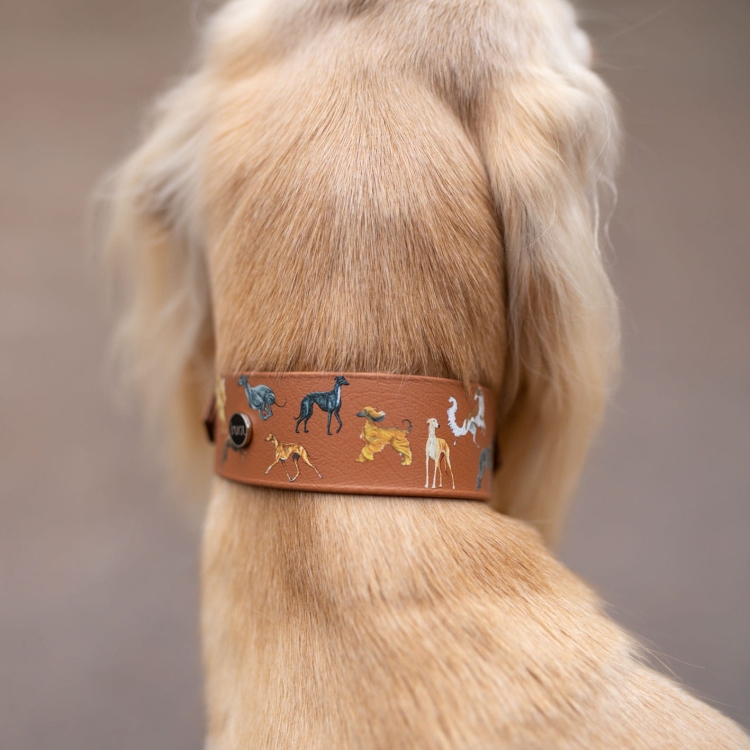 Szeroka obroża dla psa Bura brązowa jak skóra na psie – ujęcie z tyłu pokazujące szerokość oraz wzór chartów.