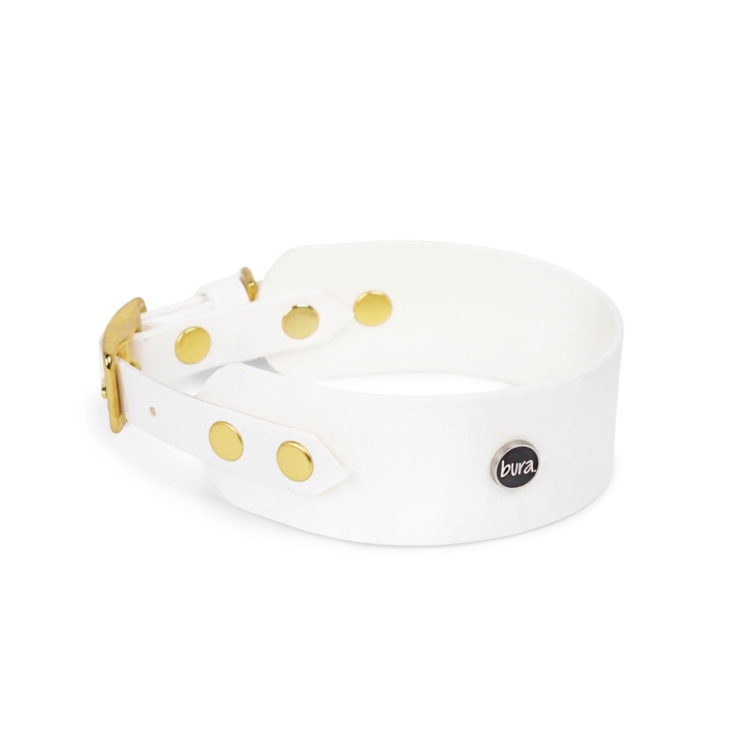 Biała obroża dla charta