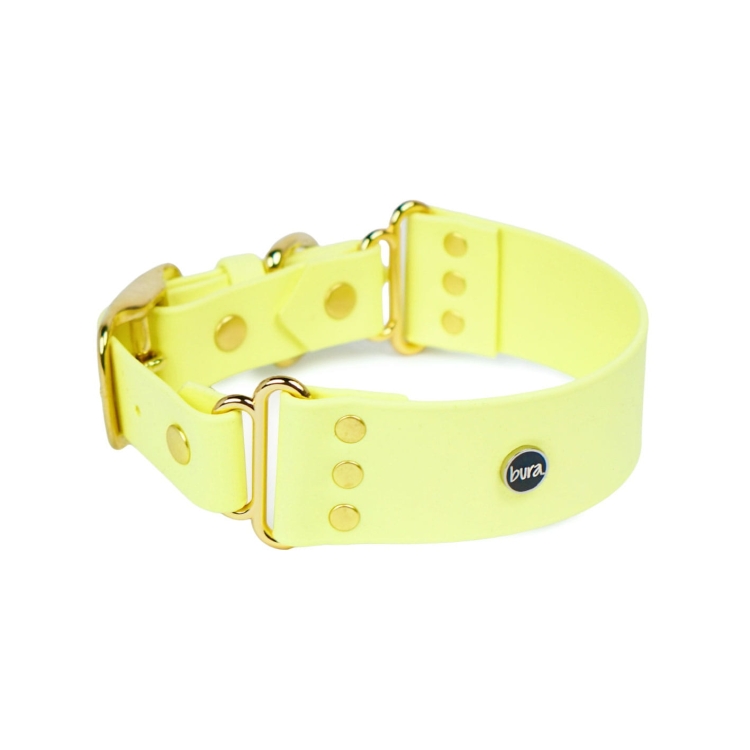 Szeroka obroża Biothane w kolorze masełkowym.