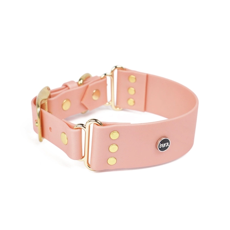 Szeroka obroża Biothane w kolorze białym.