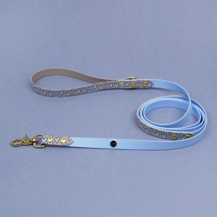 Smycz miejska dla psa z Biothane z rączką traffic, wzór Serca, jasnoniebieska taśma i złote okucia – widok całości