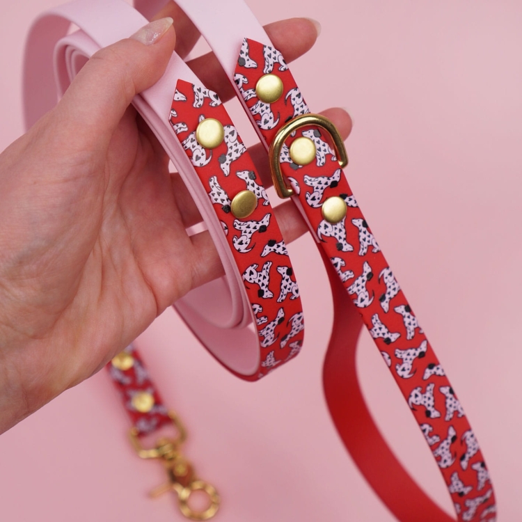 Smycz miejska Biothane – detal paska z autorskim wzorem i okuciami (D-ring) Bura