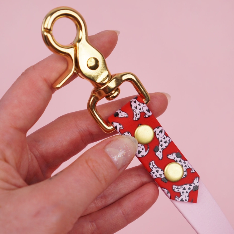 Smycz miejska z Biothane dla psa – karabińczyk obrotowy i mocowanie, autorski print Bura