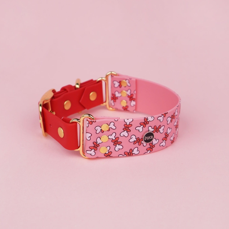 Szeroka obroża dla psa z Biothane, złote okucia, nadruk UV – ujęcie produktowe na tle