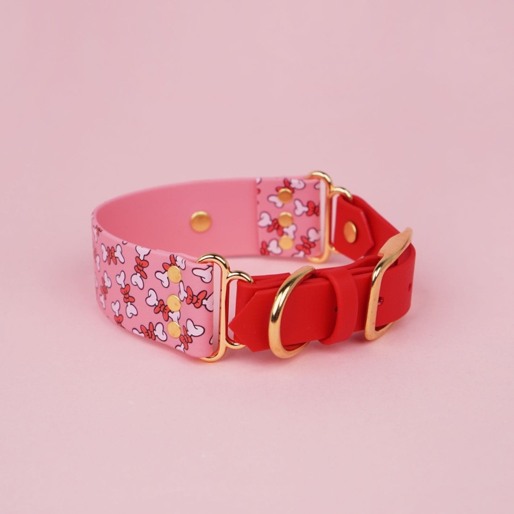 Szeroka obroża dla psa na sprzączkę – złota klamra, szlufka i kółko D (detal z przodu)