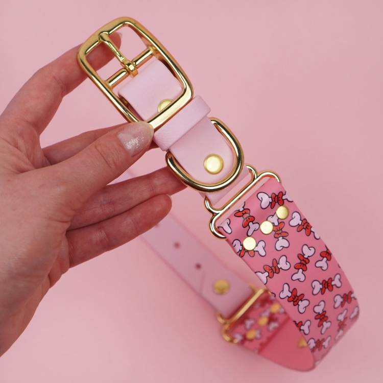 Szeroka obroża dla psa – złote okucia, kółko D i sprzączka, zbliżenie wykończenia taśmy