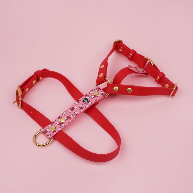 Regulowane szelki dla psa z Biothane – widok na całość, okucia w kolorze złotym.