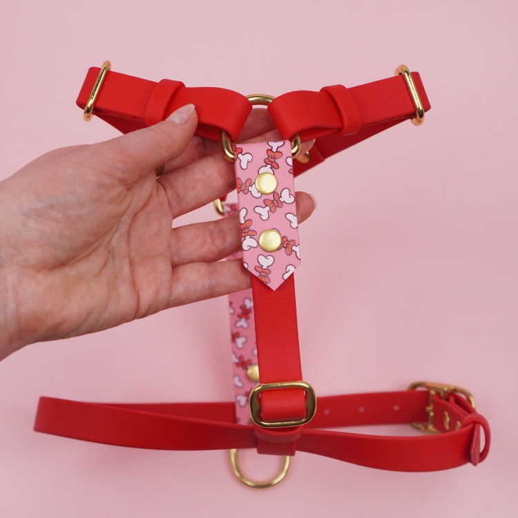 Szelki dla psa z Biothane – zbliżenie na okucia i pasek, produkt w dłoni.