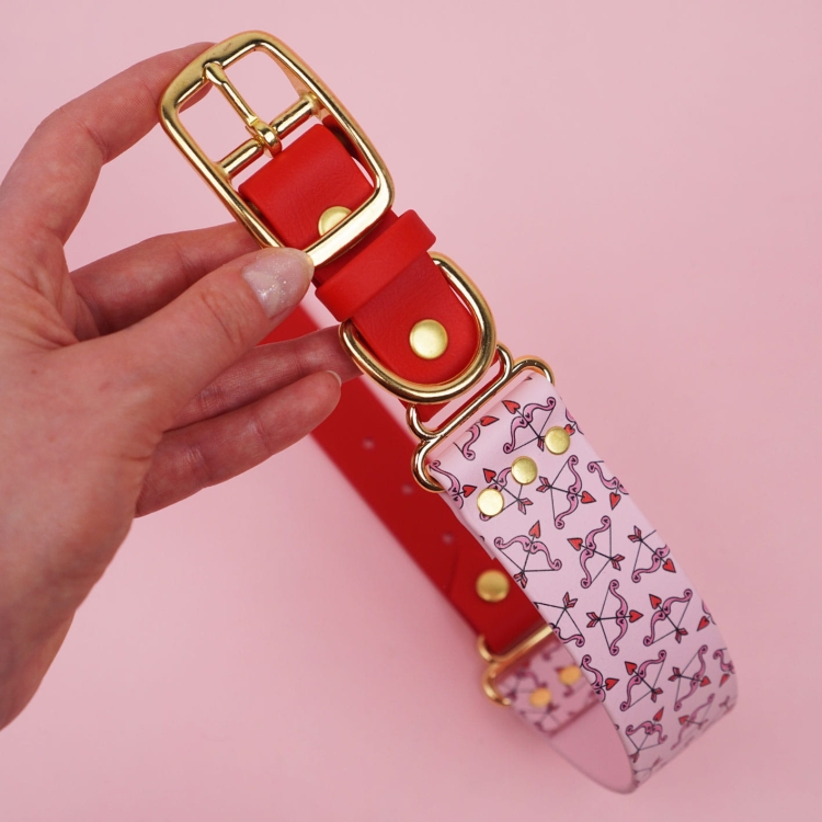 Obroża dla psa z Biothane – D-ring, złote okucia, zbliżenie detali