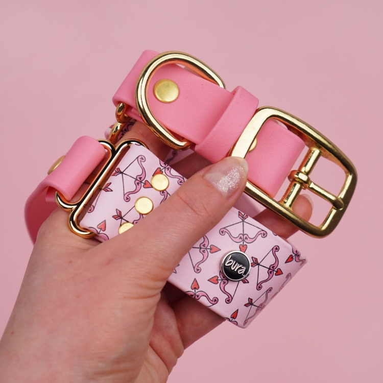 Obroża na sprzączkę dla psa z Biothane – widok produktu, wzór i okucia