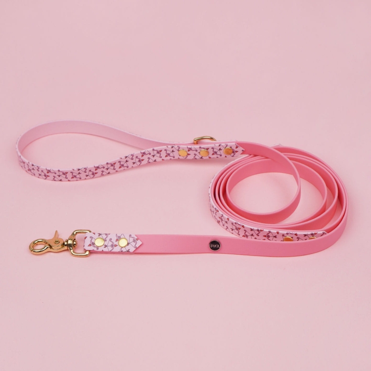 Smycz miejska dla psa z Biothane z nadrukiem UV, wygodna pętla i złote okucia