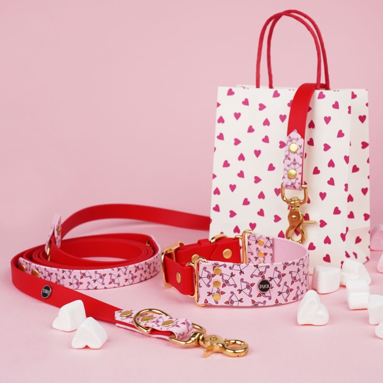 Obroża dla psa z Biothane z drukiem UV w kupidyny, złota sprzączka i D-ring, zbliżenie.