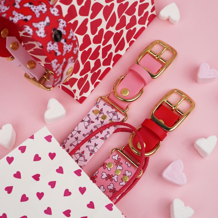 Dwie obroże dla psa z Biothane: różowa i czerwona, walentynkowe nadruki, złote sprzączki.