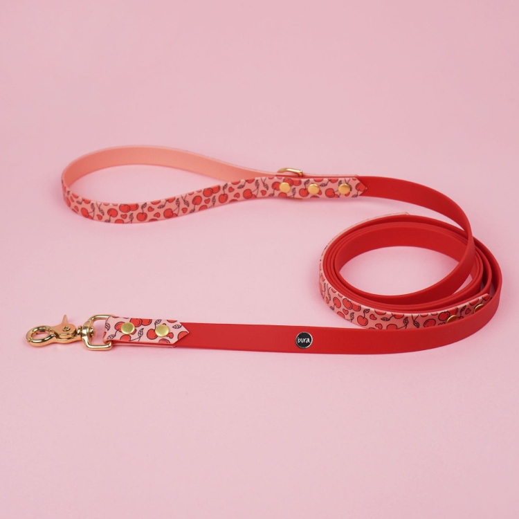 Smycz miejska z Biothane dla psa z autorskim wzorem Wiśnie i serduszka, łososiowy róż i czerwony, okucia w kolorze złotym.