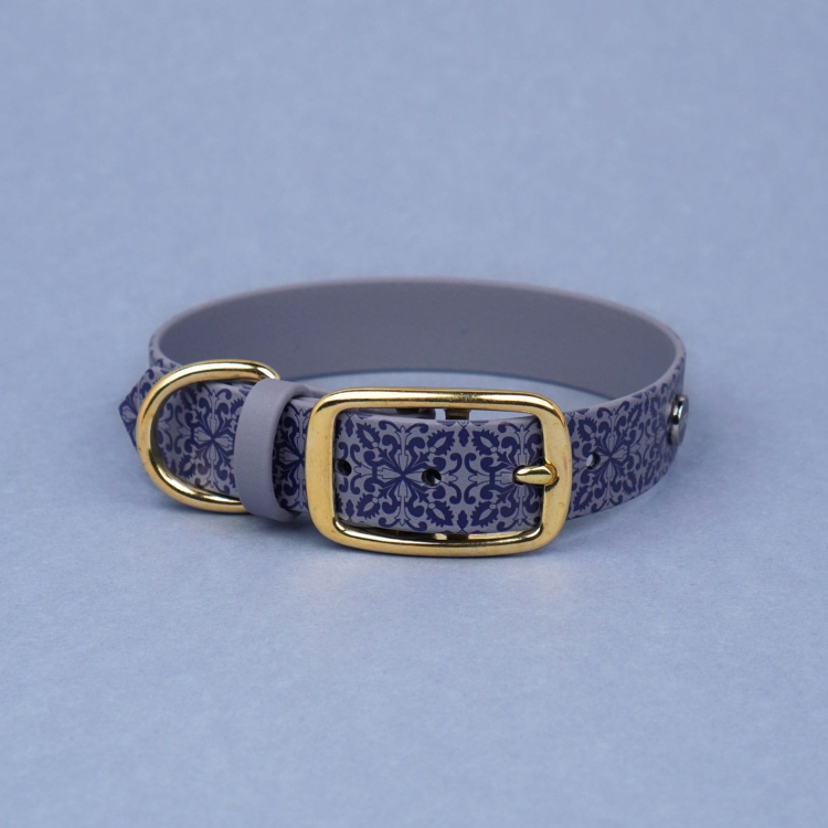 Szara obroża na sprzączkę z Biothane dla psa – wzór Casa Canina, złote okucia i szeroka taśma z nadrukiem