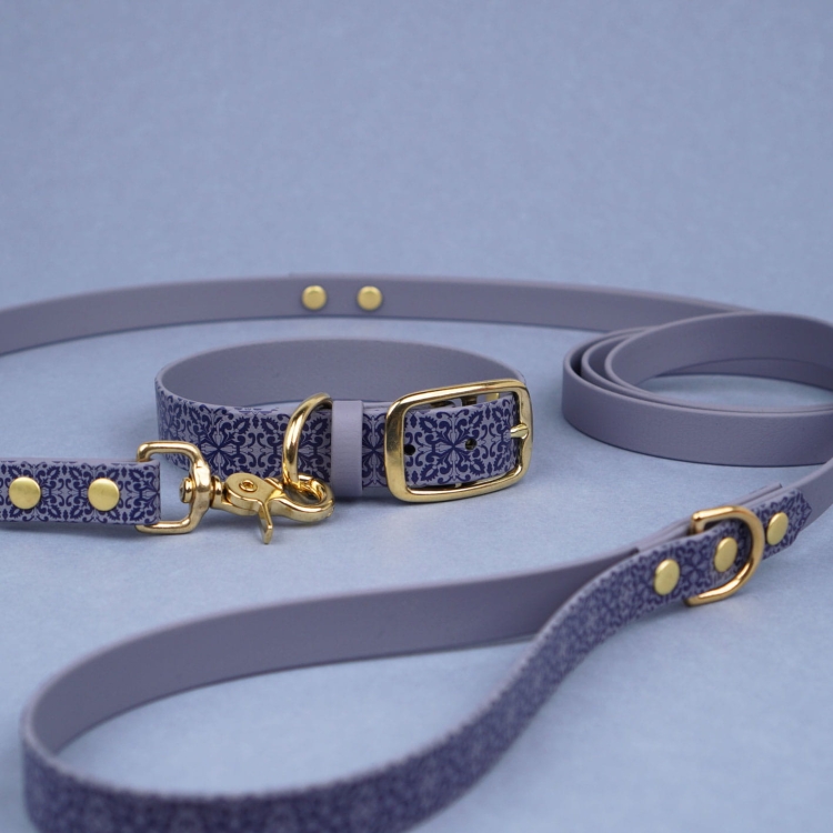 Zestaw spacerowy: szara obroża na sprzączkę z Biothane dla psa i dopasowana smycz, wzór Casa Canina