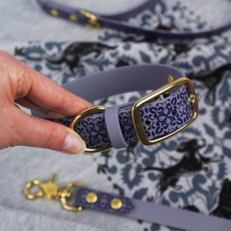 Szara obroża na sprzączkę z Biothane dla psa – wzór Casa Canina inspirowany azulejos, ujęcie lifestyle