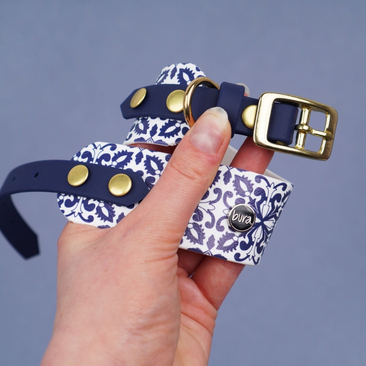 Detal obroży dla charta: sprzączka i D-ring w złotym kolorze oraz wzór Casa Canina na szerokim pasie BioThane.