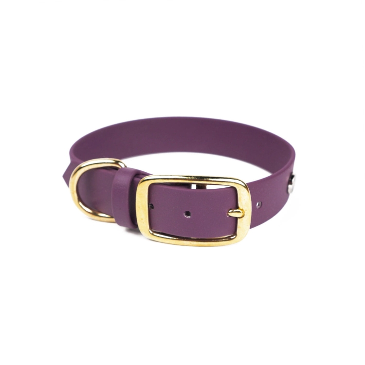 Obroża dla psa z Biothane w kolorze bakłażanowym z kolekcji HAUbergine Bura z metalową sprzączką i kółkiem do przypięcia smyczy
