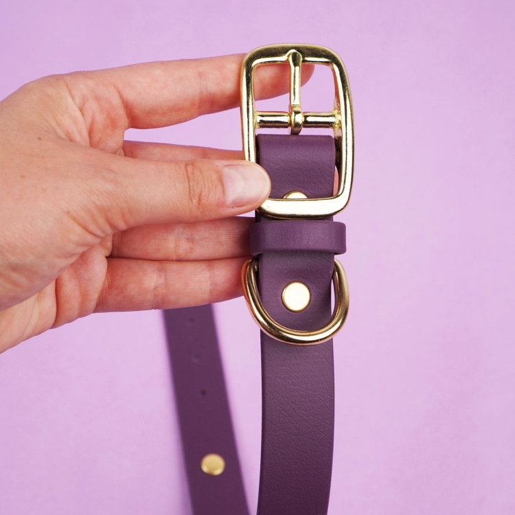 Obroża na sprzączkę dla psa wykonana z Biothane w kolorze bakłażanowym ze złotą klamrą i metalowym kółkiem