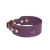 Obroża dla charta z Biothane w kolorze bakłażanowym ze złotymi okuciami z kolekcji HAUbergine Bura
