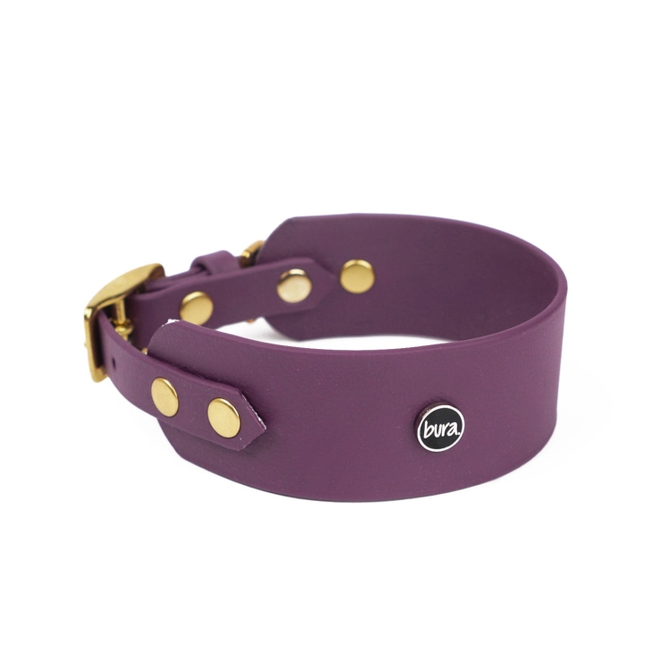 Obroża dla charta z Biothane w kolorze bakłażanowym ze złotymi okuciami z kolekcji HAUbergine Bura