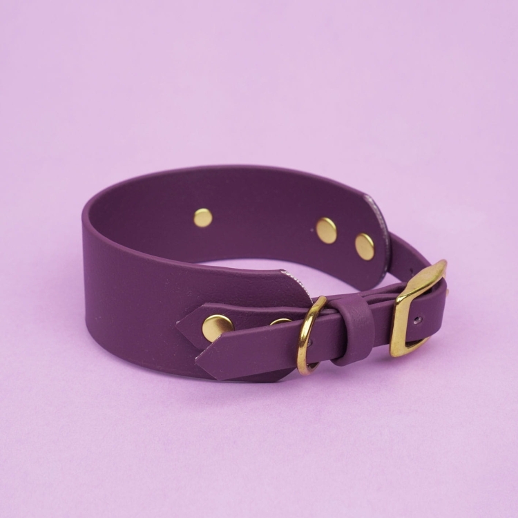 Bakłażanowa obroża dla charta z Biothane z metalową klamrą i złotymi nitami Bura