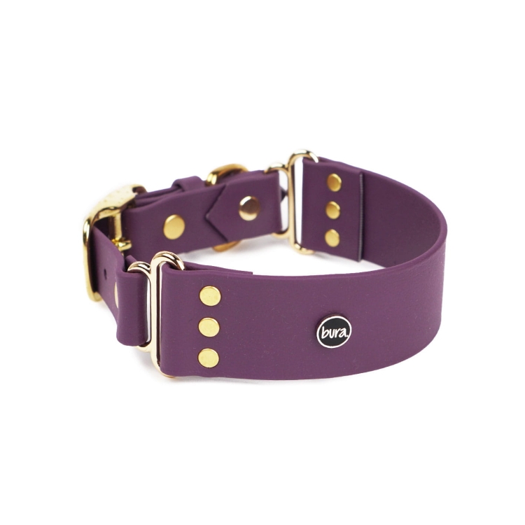 Szeroka obroża dla psa z Biothane w kolorze bakłażanowym ze złotymi okuciami Bura