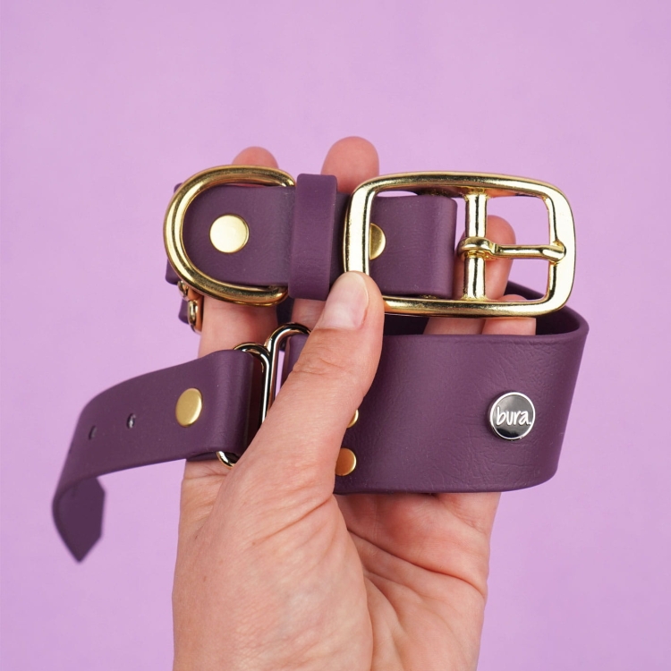 Detal bakłażanowej obroży dla psa z Biothane ze złotą klamrą i metalowymi nitami