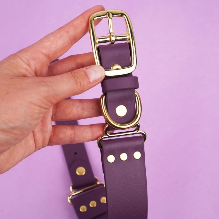 Obroża dla psa z taśmy Biothane w kolorze bakłażanowym ze złotą sprzączką