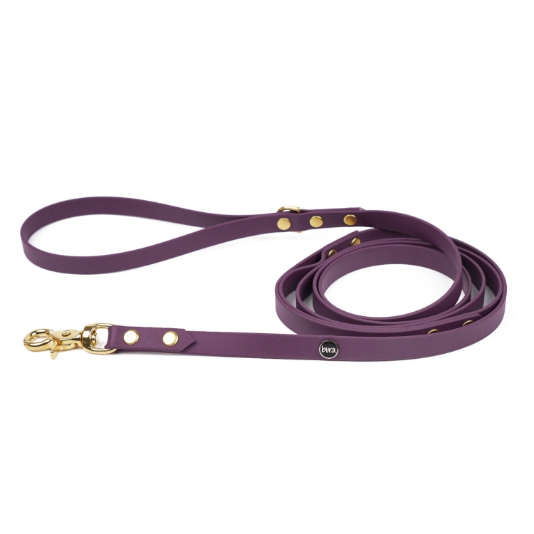 Smycz miejska dla psa z Biothane w kolorze bakłażanowym ze złotym karabińczykiem Bura