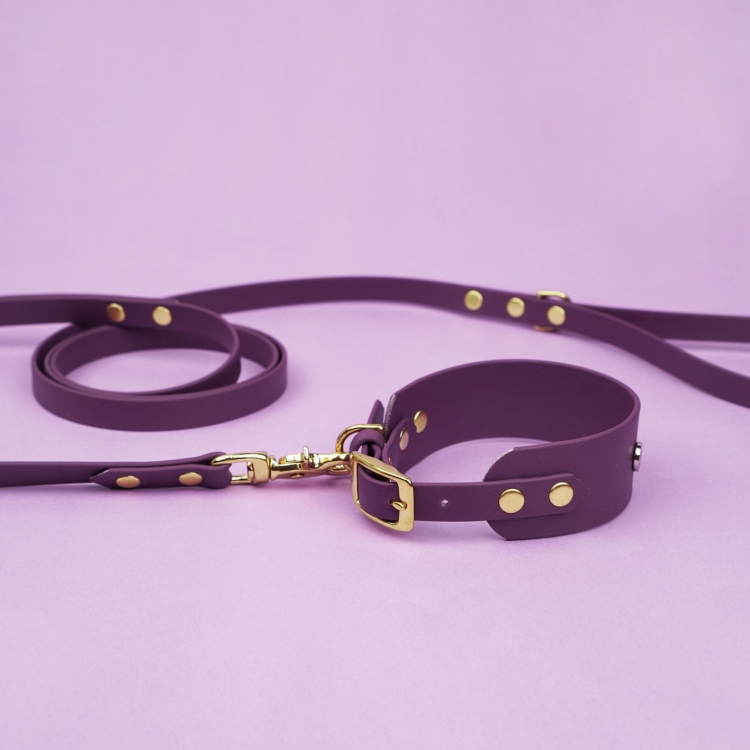Smycz miejska z Biothane w kolorze bakłażanowym przypięta do obroży dla psa