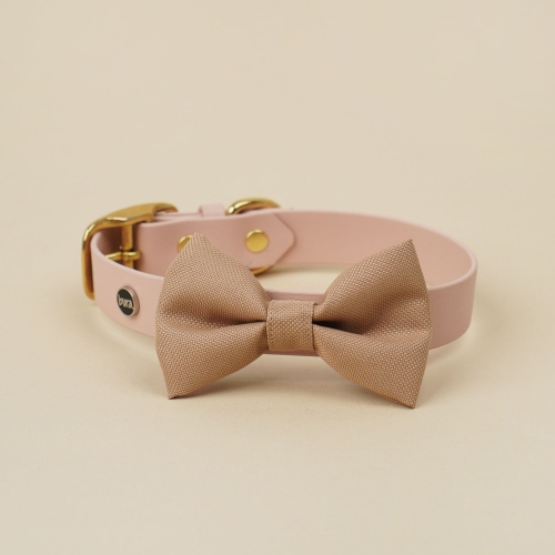 kokarda do obroży dla psa w kolorze beżowym założona na obrożę Biothane Bura