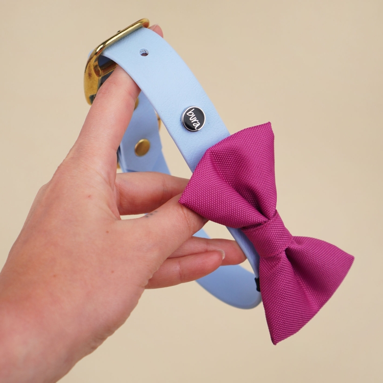 kokarda do obroży dla psa w kolorze fuksji założona na obrożę Bura