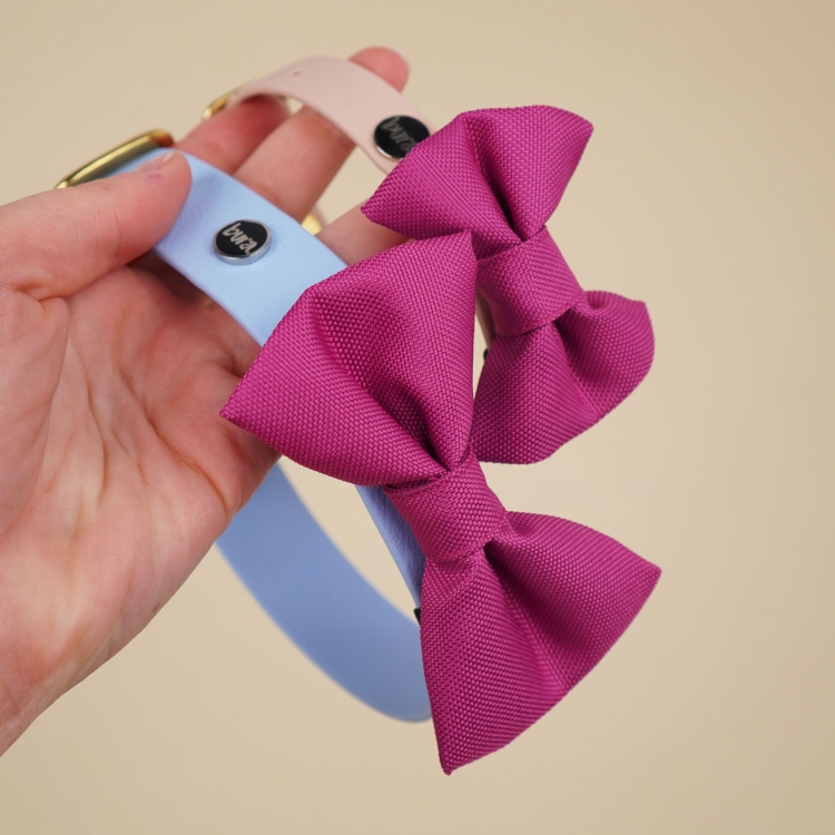 fuksjowa kokarda dla psa zamocowana na obroży dla psa