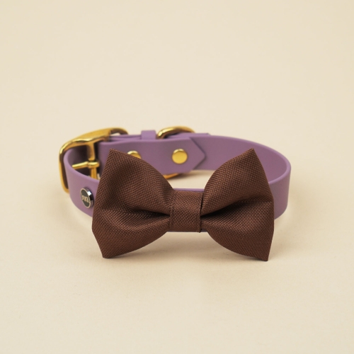 brązowa kokarda do obroży dla psa zamocowana na obroży Bura