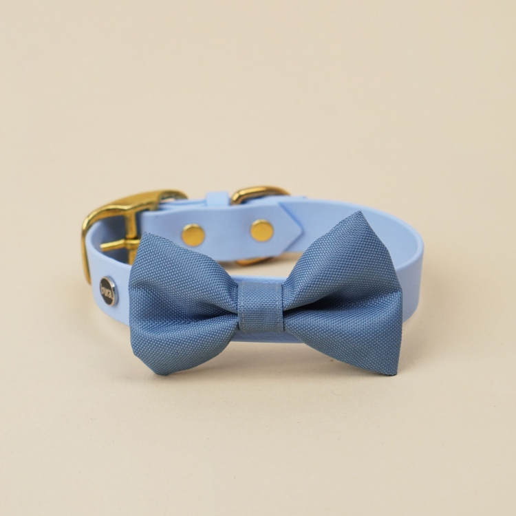 kokarda do obroży dla psa w kolorze blue jeans zamocowana na obroży Bura
