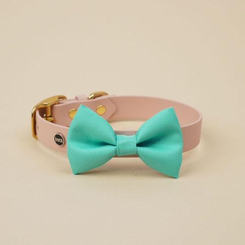miętowa kokarda do obroży dla psa zamocowana na obroży Bura