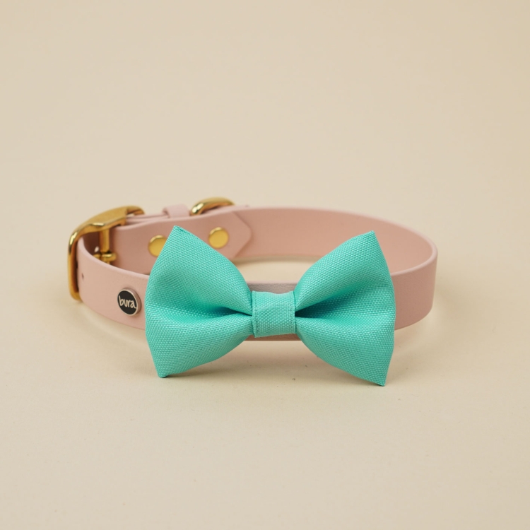 miętowa kokarda do obroży dla psa zamocowana na obroży Bura
