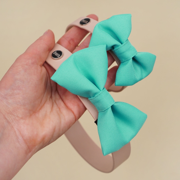 miętowa kokardka dla psa zamocowana na obroży