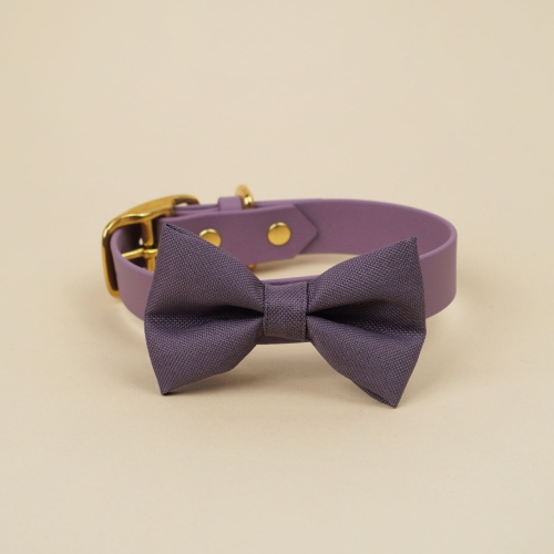 bakłażanowa kokarda do obroży dla psa zamocowana na obroży Bura