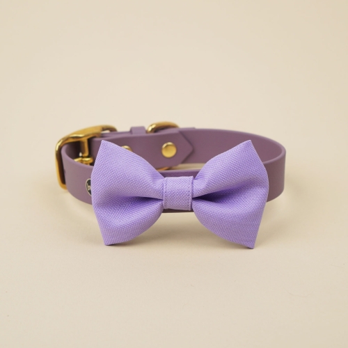 liliowa kokarda do obroży dla psa zamocowana na obroży Bura