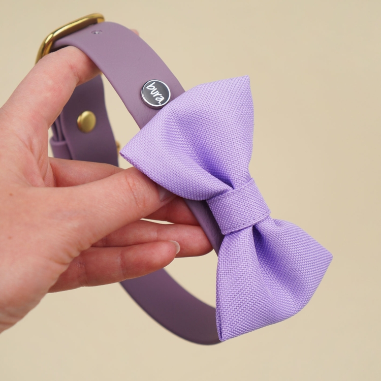 kokarda dla psa w kolorze liliowym założona na obrożę dla psa